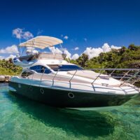 Day Cruises