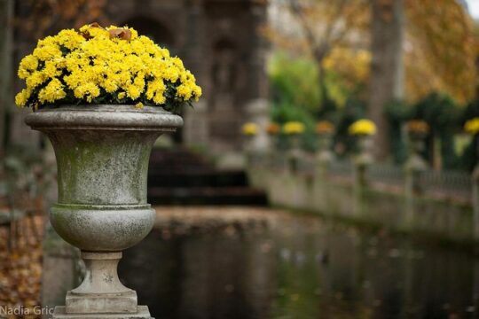 Latin Quarter 2-Hour Private Walking Tour