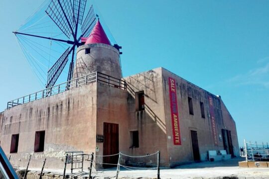 Boat tour of the island of Mothia and Marsala salt flats