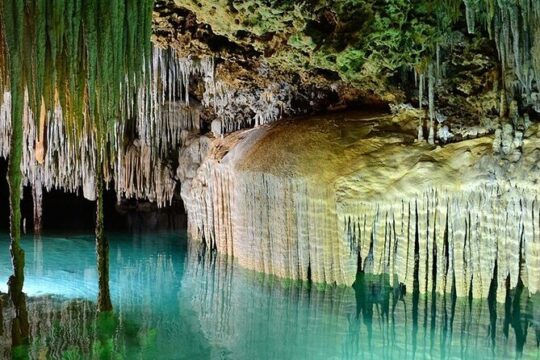 Discover the magnificent “Secret River” of the Riviera Maya. Transport included