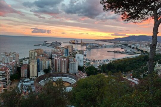 Night Tour in Malaga by Electric Car.Enjoy the sunset