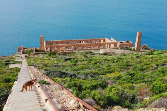 Private Day Tour to the Mines on the Iglesiente Sea