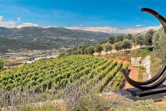 Private Organic Wine & Provence Food Tasting Tour (From Nice)
