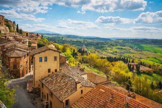 Full-Day Private Montalcino & Montepulciano Wine Tour from Siena