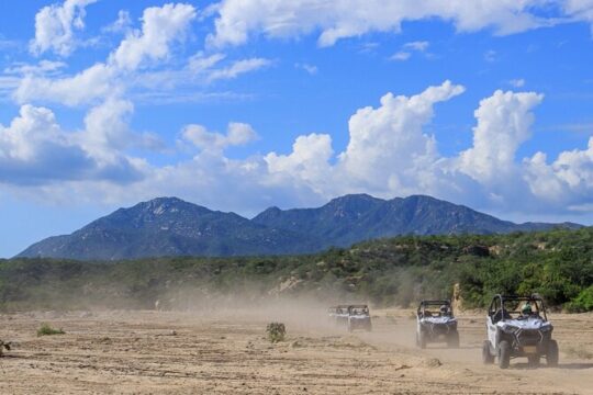 Ultimate UTV Desert and Canyon Adventure