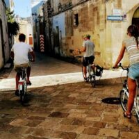 Private Sightseeing Tours