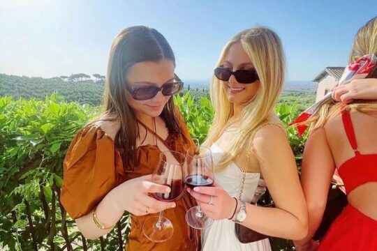 Classic Half-Day Wine Tour in Frascati