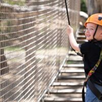 Obstacle Courses