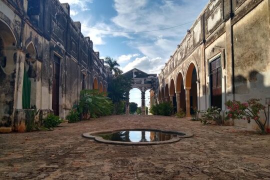 Yaxcopoil Hacienda & Uxmal Plus Cenote from Merida