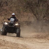 Walking & Biking Tours