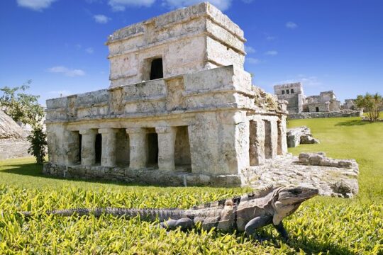 Amazing Tour to Tulum, Coba, Cenote and Playa del Carmen. Transport included