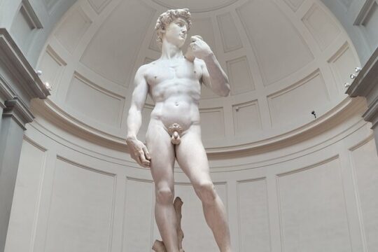 Michelangelo's David Small Group Tour