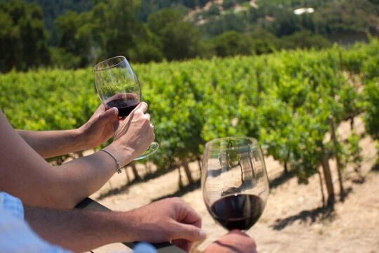 Wine tasting in TWO family wineries around Florence