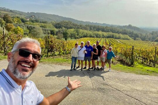 Lucca and Tuscany Wineries from La Spezia Port