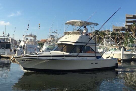 5-Hours Private Fishing Experience in Cruiser in Cabo San Lucas