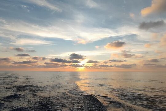 Catamaran sunset