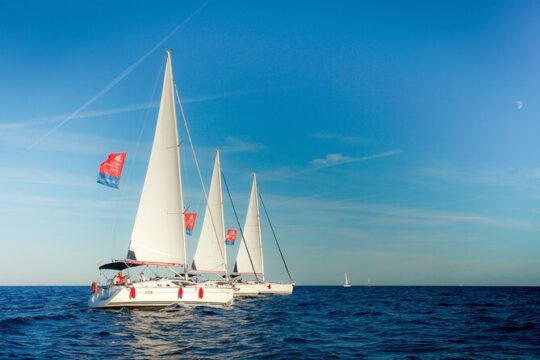 Ebike Tour, Winery, Wine Tasting & Sailing Experience(car option)