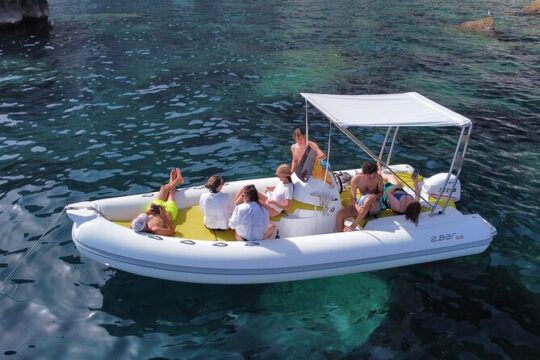 Capri Boat tour (half day)