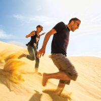 Bus & Minivan Tours