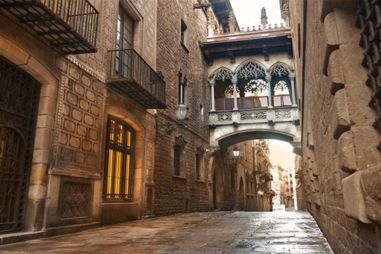 Barcelona Private Gothic Quarter Tour with Flamenco Show