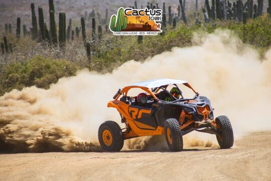 Beach & Desert Premium RC UTV Tour in Cabo (price per person)