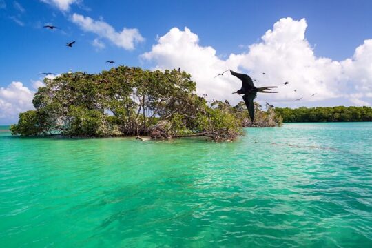 Sian Ka'an Biosphere the best nature experience with Transportation from Tulum