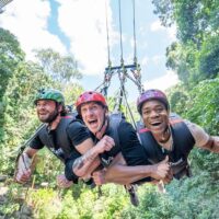 Ziplines