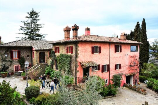 Chianti Classico with Lunch Half Day from Florence