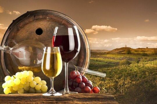 Montepulciano Wine Tasting and Orvieto Private Day Tour from Rome