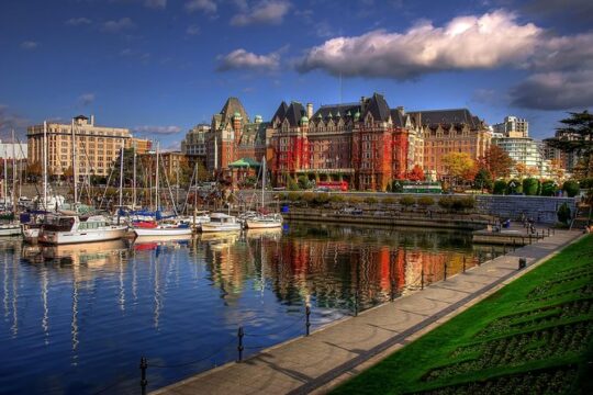 Victoria Harbour Kayak Tour