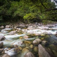 Day Trips & Excursions