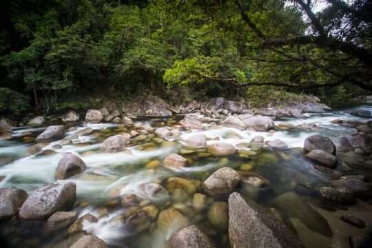 Daintree Rainforest, Mossman Gorge Small-Group from Port Douglas