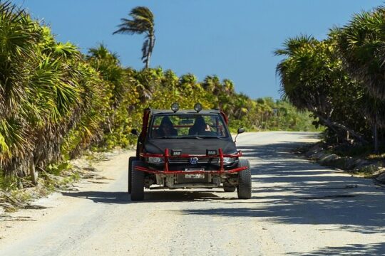 Route of Adventure: Punta Sur Park and Clear Boat Cozumel