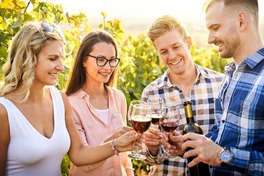 Wines and Whispers:Barossa Valley Private Wine Tour from Adelaide