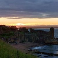 Private & Custom Tours