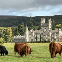 Day Trips & Excursions