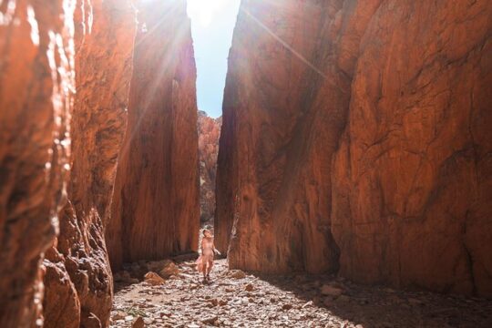 West MacDonnell Ranges- Half Day Trip from Alice Springs
