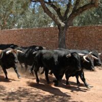 Sustainable Tours