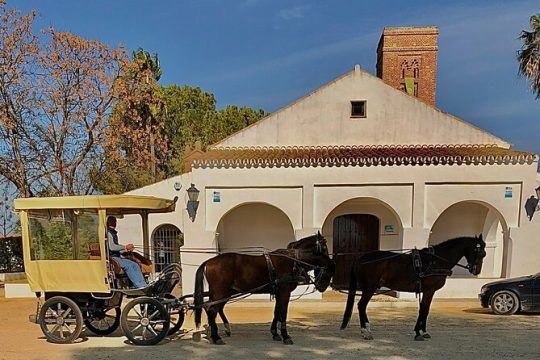 Rutas en carruajes por los cortijos mas emblemáticos del aljarafe