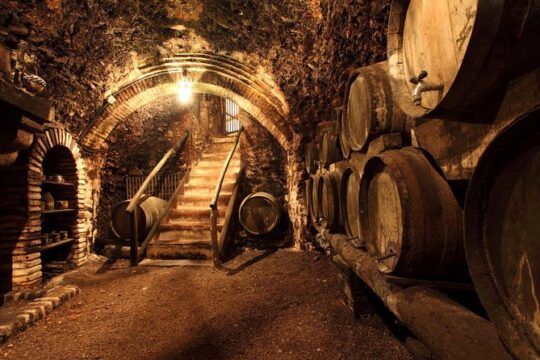 Wine and Cheese Tastings Southern Tuscany ShoreExcursion from Civitavecchia Port