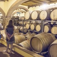Wine Tasting & Winery Tours