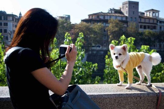 Your Tailored Made Photo Tour and Workshop in Rome