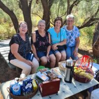 Cultural Tours