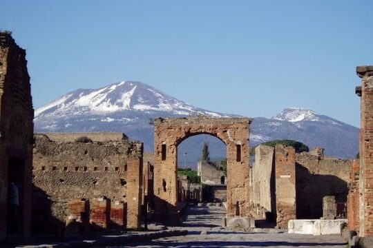 Naples and Pompeii from Rome: Private Day Tour with Lunch & Wine