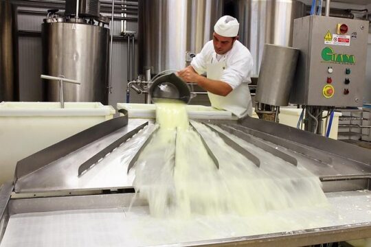 Visit to the dairy