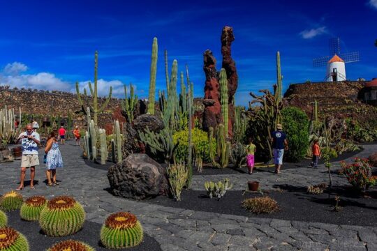 Lanzarote Tour: Lagomar Museum, Guatiza Cactus Garden & La Graciosa Island