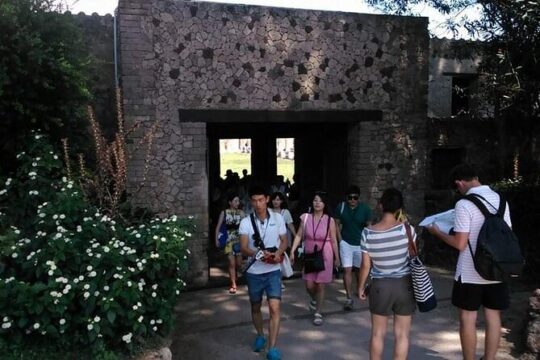 Vesuvius Wine tasting and lunch and Pompeii Full day private tour