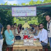 Tours & Sightseeing