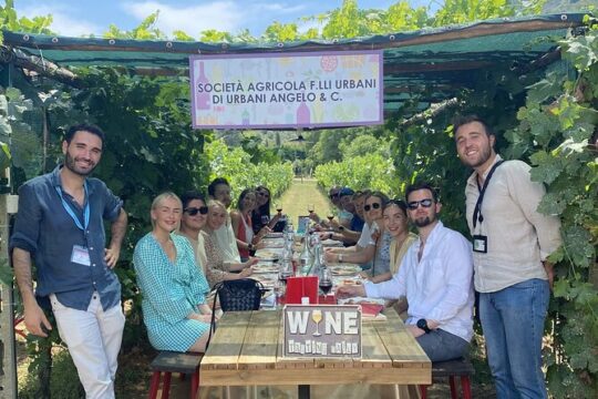 Tuscan Wine Tour in Lucca by shuttle