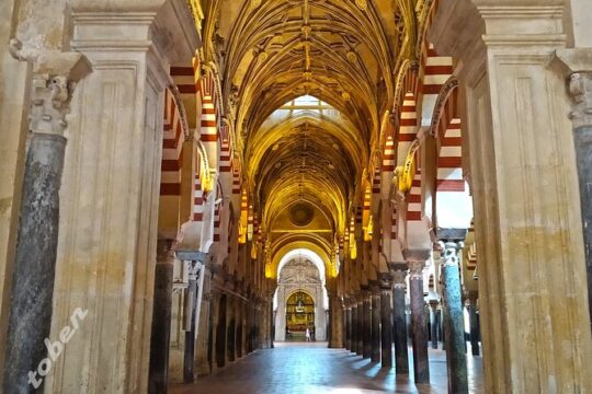 Guided tour inside the Mosque-Cathedral of Córdoba